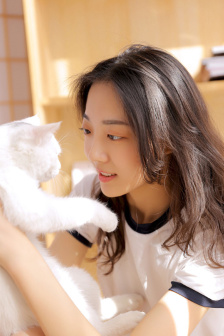 神奇女侠vs怪兽们